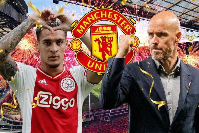 迷和专家给 迷和专家给